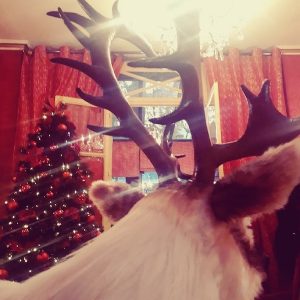 Christmas time at Hotel des Marronniers with René