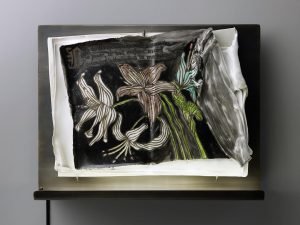 Contemporary Art Paris Parcours Saint-Germain Charlotte Cornaton